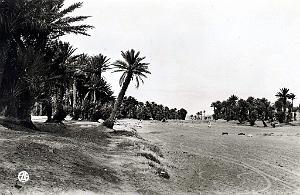 Colomb bechar 518- oued COLLECTION DES AMIS DE ND DE SANTA CRUZ